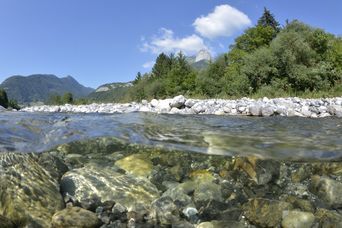 Rivière le Chéran, partie renaturée au Chatelard  – Massif de