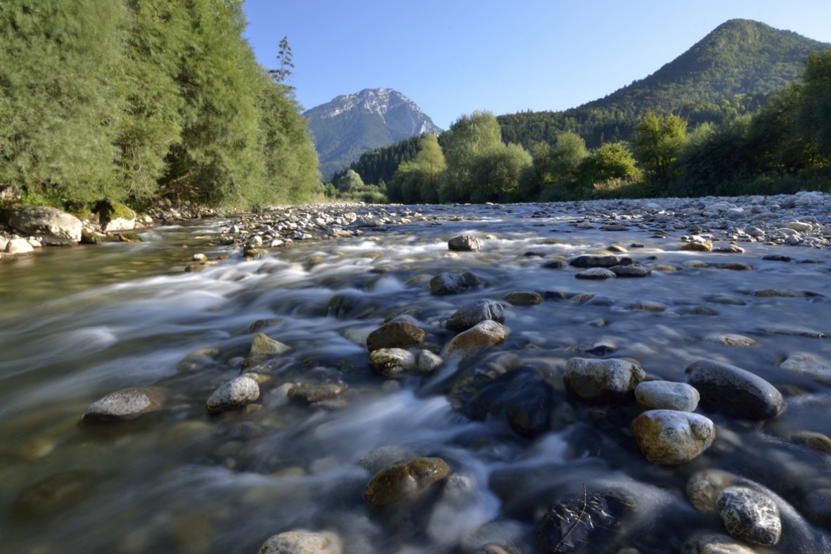 Rivière le Chéran – Partie renaturée à Lescheraines – Massif