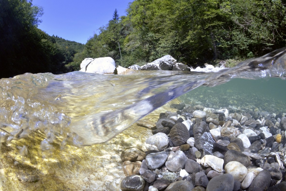 Rivière le Chéran – Sortie des gorges calcaires à Cusy- Mas