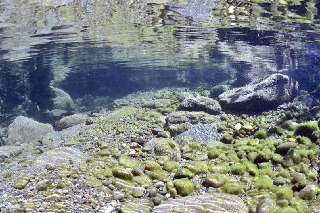 Rivière le Chéran – Sortie des gorges calcaires à Cusy- Mas